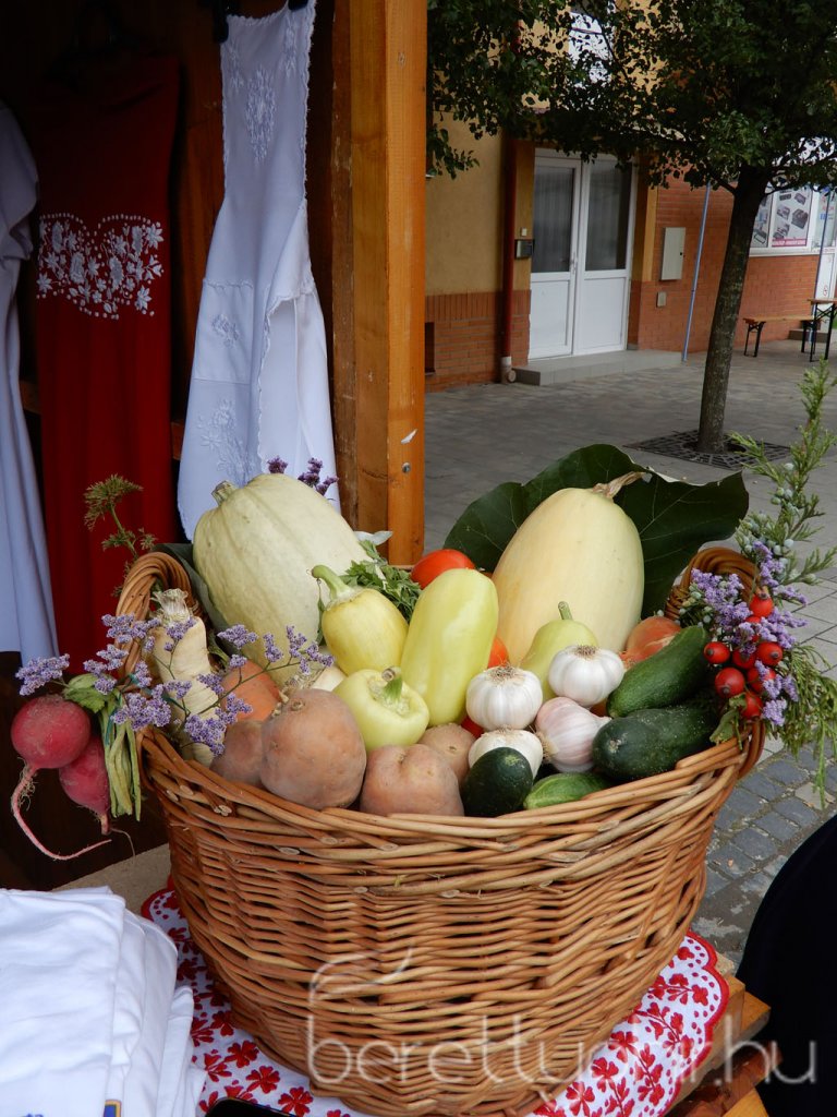 Helyi Értékek Startja 12